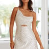 Gimme Glitter Dress Silver Sequin