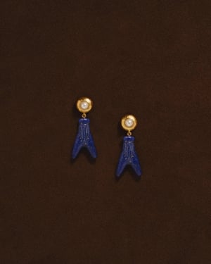 Fly Earrings