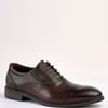 Regal Brown Laced Shoe