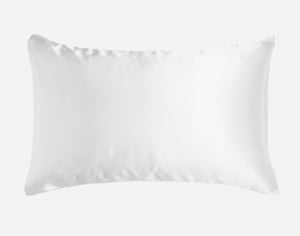 QE Home Satin Pillowcases in White (Set of 2)