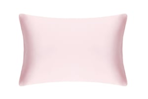 Precious Pink Pure Silk Pillowcase - Standard / Ivory