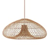 Abyssal Pendant Light