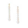 Stellar Drop Earrings