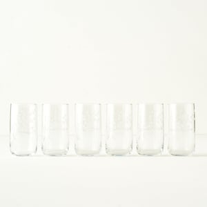 Exclusive Collection Floral Highball Glass (Set of 6)