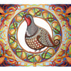 Partridge in a Pear Tree