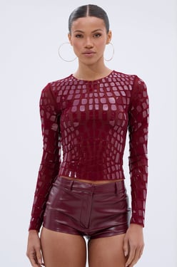AKIRA Can See Right Through You Mesh Long Sleeve Top | Size XL