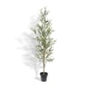 7' Artificial Slim Olive Tree