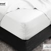 QE Home 350TC BeechBliss TENCEL™ Modal Fitted Sheet in White, King