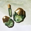 SALTED MUSE BUNDLE