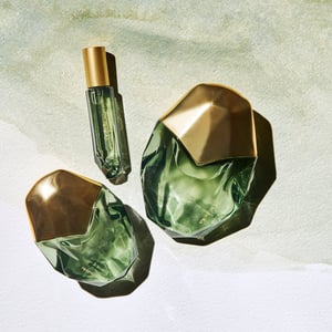 SALTED MUSE BUNDLE