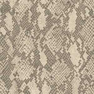 COBRA Wallpaper - Phlox Sample