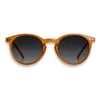Weird Fish Williams Round Sunglasses  Mustard Size ONE