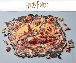 Hogwarts Castle Romance