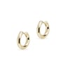 Small Chunky Hoop Earrings
