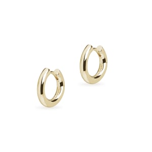 Small Chunky Hoop Earrings