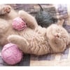 Kitten Sleeping