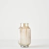 Nilda Ribbed Glass Vase