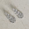 925 Silver Luxe Essence Earrings Silver