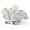 Flower Coral On Crystal Base