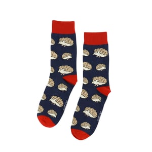Save the Blue Hedgehog Bamboo Socks | UK Adult 7-11