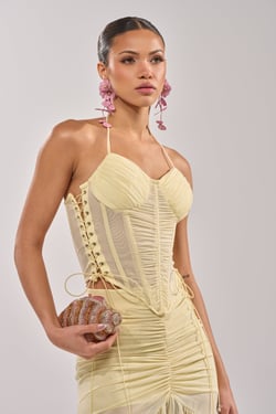 AKIRA Vaca Vibes Mesh Corset Top | Size 1X