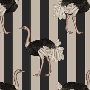 PRIDE Wallpaper - Clay & Off Black
