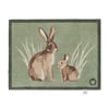 Rabbit 1 Green Washable Doormat - 65x85cm