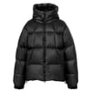 Goldwin Pertex Quantum Down Parka Black