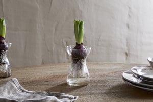 nkuku Enir Hyacinth Vase | Decorative Accessories | One Size | Clear