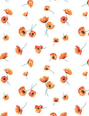 Poppy' Wallpaper by Nathan Turner - White - Traditional / 27 in. x 27 ft.