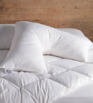 Feather Cushion Pad - V Shape