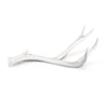 Antler Object Large