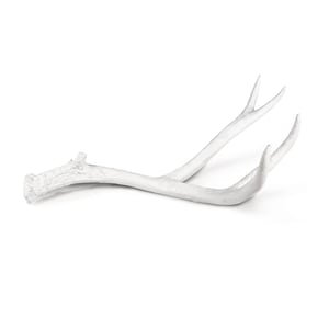 Antler Object Large
