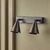 Crick double spotlight in bronze