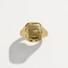 Seal Signet - 3