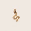 Serpente Charm