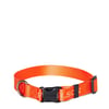 Filson Nylon Dog Collar Flame