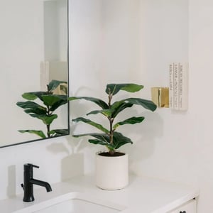 2' Artificial Fiddle Leaf Fig Trees in Pots