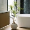 4' Artificial Dracaena Tree in Pot
