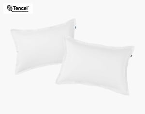 QE Home 350TC BeechBliss TENCEL™ Modal Pillow Shams in White (Set of 2), King