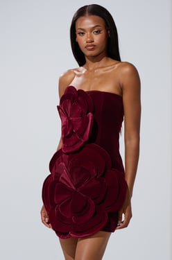 AKIRA Flower Power Velvet Mini Dress | Size 2X