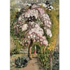 In a Shoreham Garden