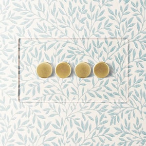 Lucian perspex four gang dimmer in clear perspex and aged brass