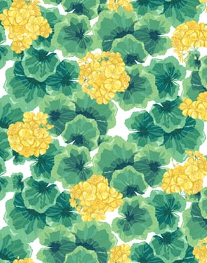 Geranium' Wallpaper by Nathan Turner - Yellow - Traditional / 27 in. x 27 ft.