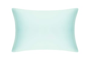 Teal Breeze Pure Silk Pillowcase - Standard / Without