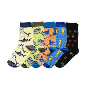 Ocean Rainbow 5 Pack Bamboo Sock Set | UK Adult 7-11