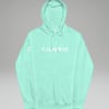 Peak Midweight Women's Hoodie - Mint / S