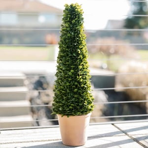 24" Artificial Boxwood Plant in Tapered Pot