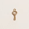 Fini’s Key Charm