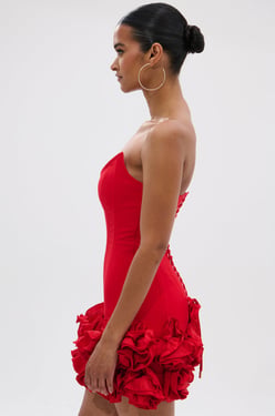 AKIRA Roses Are Corset Mini Dress | Red | Size XL
